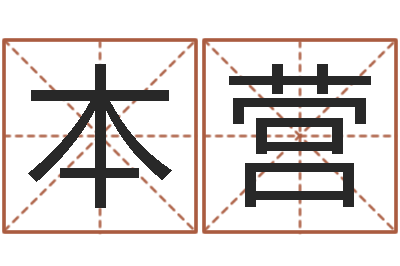 张本营宝宝起名免费-周易生辰八字算卦