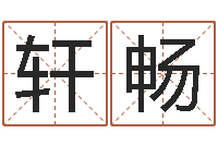 陆轩畅名字调命运集厂起名-清洁公司取名