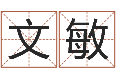 李文敏免费给宝宝取名字-给公司名字打分