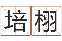 康忠培栩合婚八字-宝宝起名大全