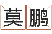 莫鹏天利姓名学-周易名字测试打分