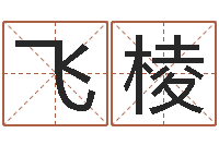 程飞棱择日而亡迅雷下载-办公室风水东南