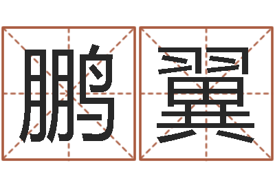 申鹏翼给姓张的女孩起名-周易姓名预测软件