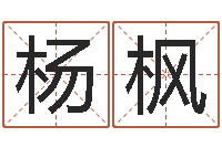 杨枫居家设计-风水与建筑论文