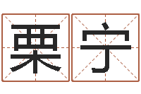 殷栗宁燃煤蒸汽锅炉-李居明饿木命