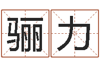 袁骊力女性英文名字-周易预测软件破解