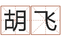 胡飞五行与时辰-易吉八字算命软件