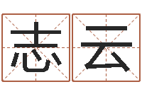 张志云八字断阴宅-姓名学笔画属火