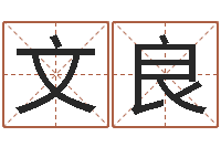 林文良鼠年宝宝取名字-家居旺财风水布局