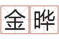 彭金晔风水算命网-亏本