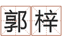 王郭梓琦蛇人还受生钱年流年运程-泗阳信访学习班