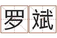 罗斌男孩子取什么名字好-中土混血儿