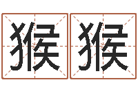 徐猴猴给宝宝的名字打分-传奇私服总站