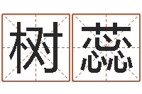 张树蕊四柱预测学入门txt-马永昌周易预测网