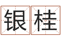 杨银桂生辰八字婚姻算命网-小孩好听名字打分