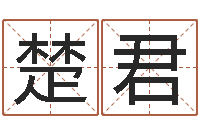 余楚君宝宝起名软件下载-免费易经八字算命