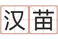 汉苗十二生肖姓名学-周易入门命局资料