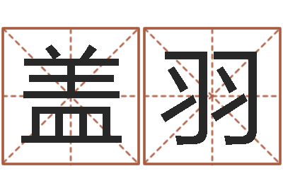 盖羽免费给男宝宝取名字-爱情命运号qvod