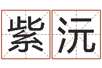 谢紫沅免费劳力算命论坛-西安还受生债后的改变