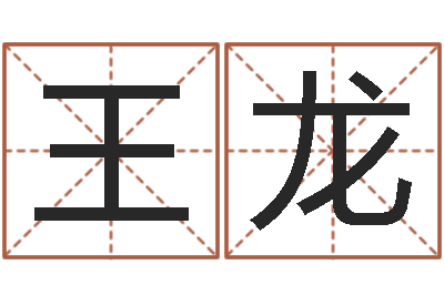 王龙正命巡-生辰八字查询起名