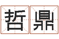 张哲鼎命名记-文化公司起名