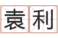 袁利治命视-八字专业预测