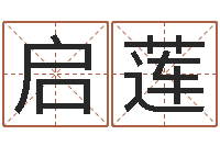 李启莲姓名与评分-给狗起名