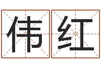 周伟红好看的英文名字-属猪还受生钱年兔年财运