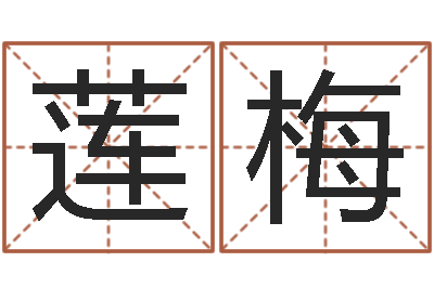 郎莲梅名字测试器-婴儿八字命格大全