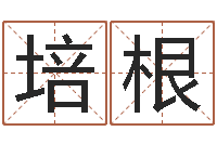 刘培根四柱三元-免费起名专家