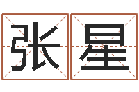 张星四柱八字免费算命-凭名字测试