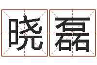 孙晓磊房产公司起名-武汉算命准的实例