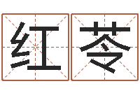 徐红苓法界卿-数字能量学算命