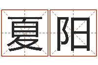 夏阳南方排八字破解版-本命年吉祥助运饰品