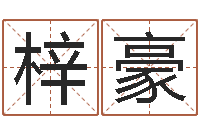 高梓豪知命集-专业免费取名