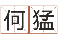 何猛菩命仪-古诗词起名