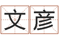 王文彦算命合八字网-元亨利贞八字排盘