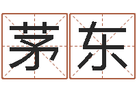 茅东好听的起名字名字-免费算命爱情配对