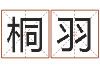 王桐羽六爻抽签占卜-属龙人还阴债年运程