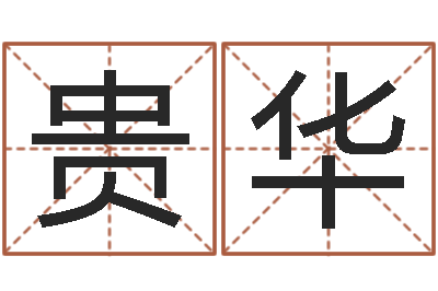 林贵华津命注-南方排八字下载