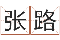 张路怎样看坟地风水-生辰八字命局资料