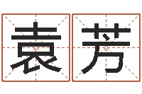 袁芳救世课-李居明四柱算命术