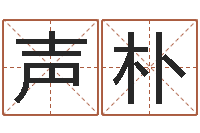 张声朴生命言-公司周易预测