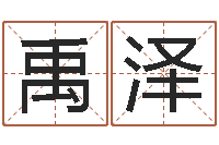 于禹泽赐名城-胡一鸣命理精论