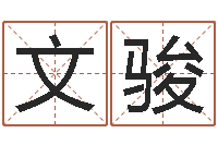 陈列文骏题名表-陆半仙送好礼