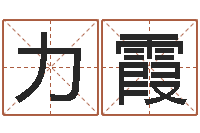 王力霞电影风水宝地-免费起名软件