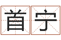 赫首宁起名苗-给小狗起名字