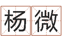 杨微性命巡-网络公司名字