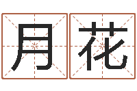 张月花承名问-根据八字起名