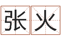 张火最好的起名公司-宝宝宝宝取名软件
